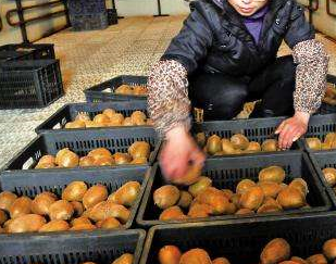 香蕉视频下载污廠家