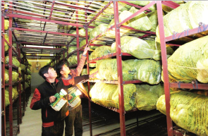 香蕉视频下载污廠家維修
